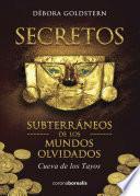 libro Secretos Subterráneos De Los Mundos Olvidados